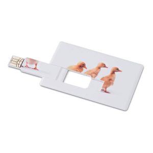 MEMORAMA USB kortelė 16 GB